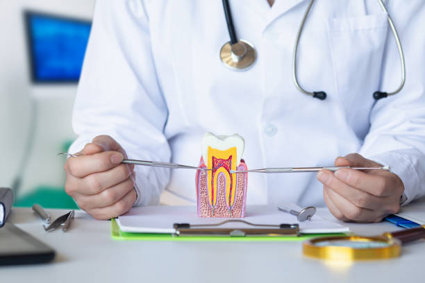 Best Emergency Gum Pain Relief  in Vauxhall, NJ